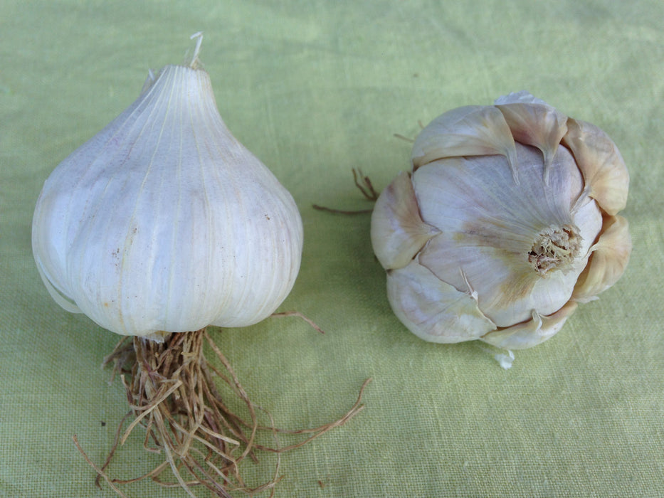 Organic Transylvania