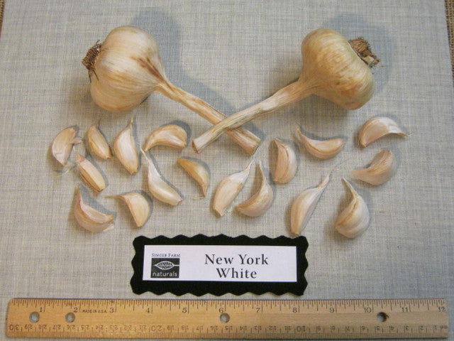 Organic New York White