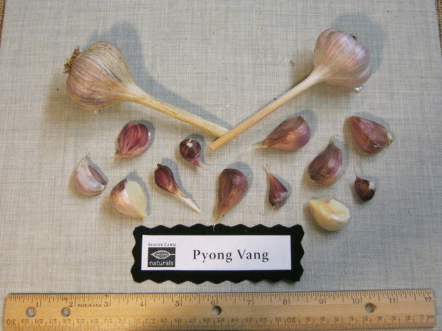 Organic Pyong Vang